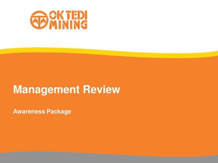 management review