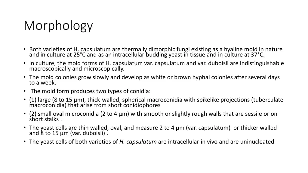 morphology