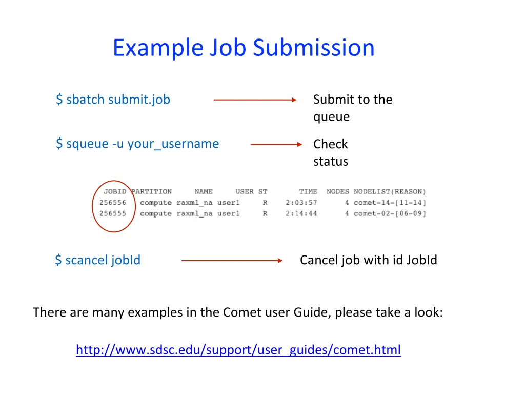 example job submission 1