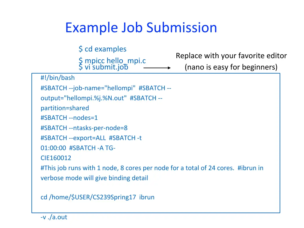 example job submission