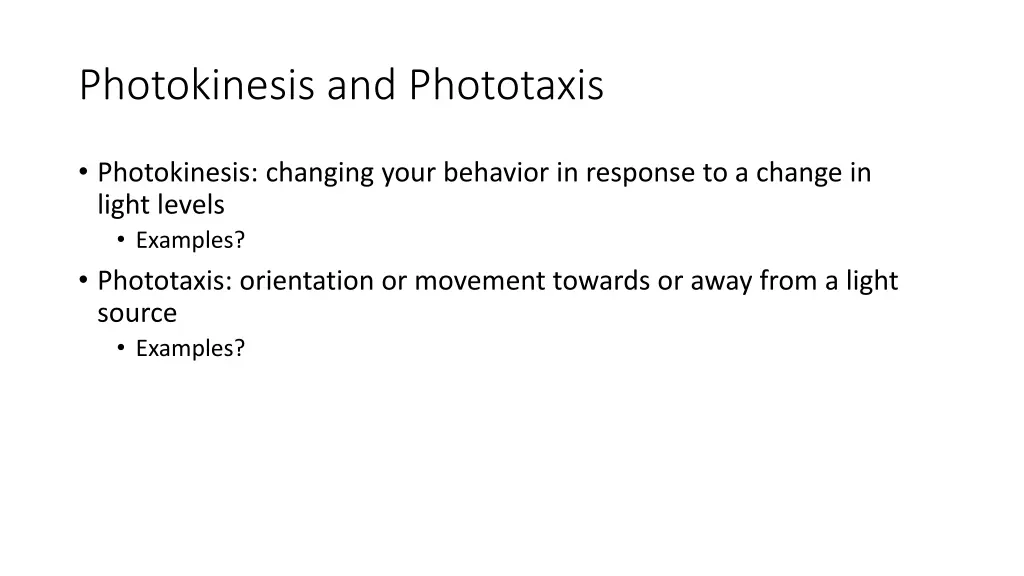 photokinesis and phototaxis