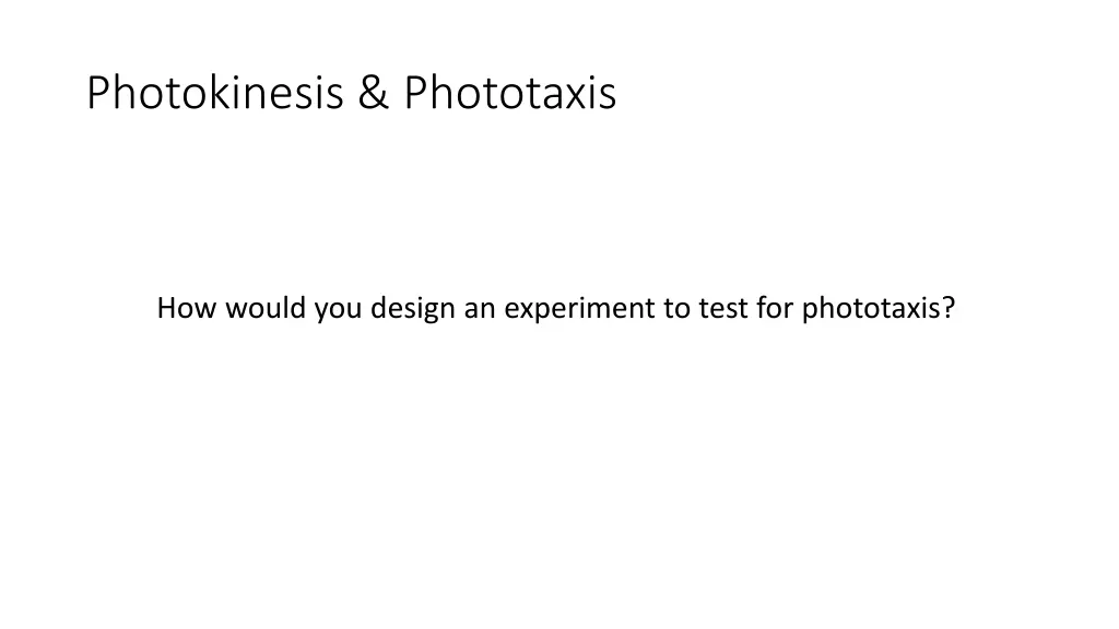 photokinesis phototaxis