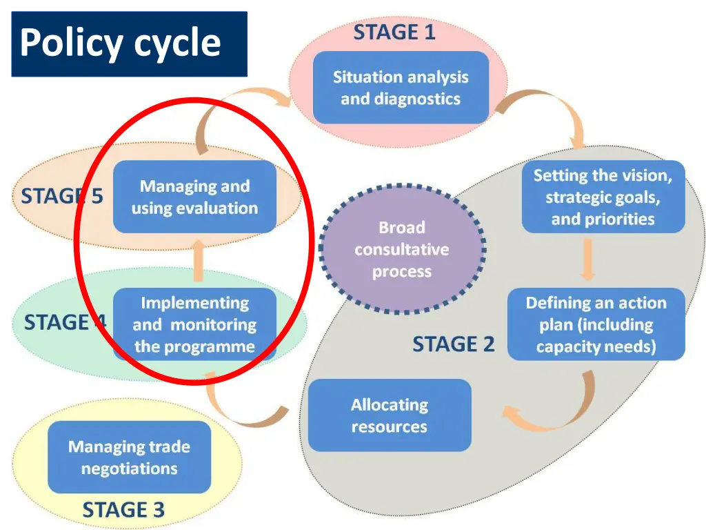 policy cycle