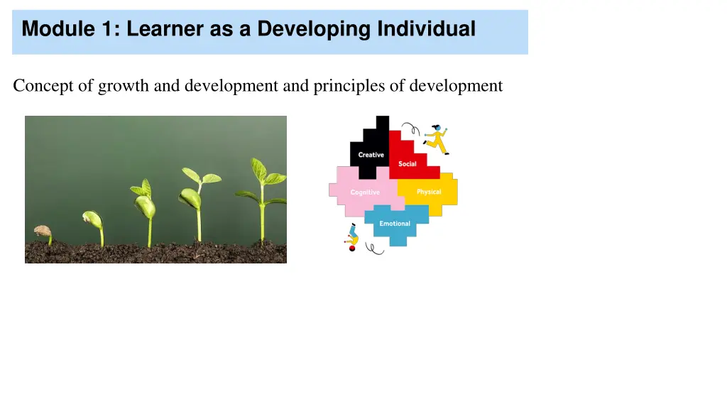 module 1 learner as a developing individual
