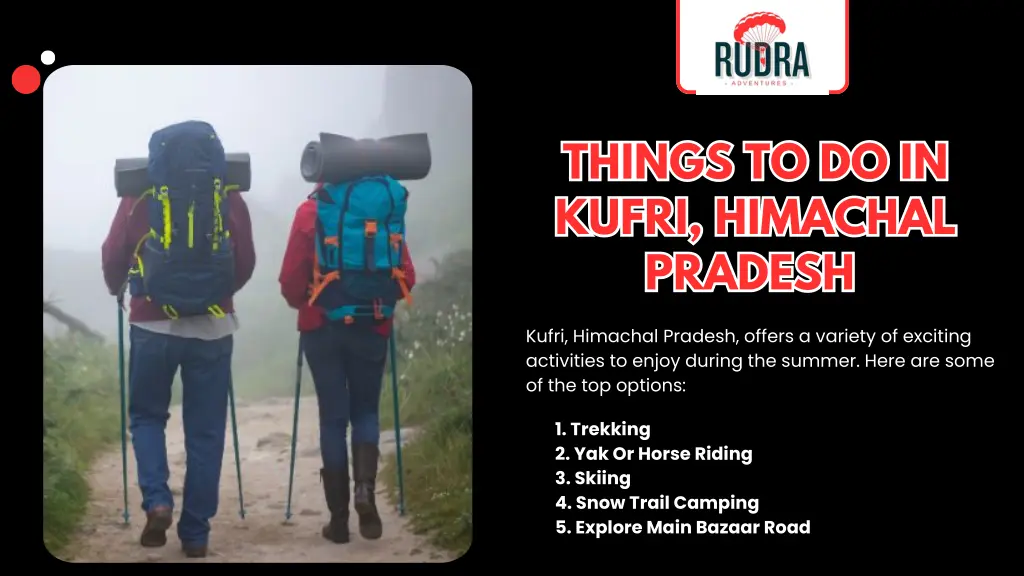 things to do in kufri himachal pradesh pradesh
