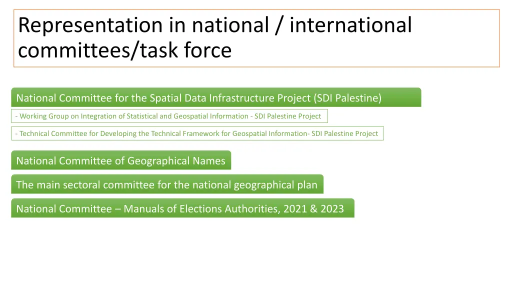 representation in national international