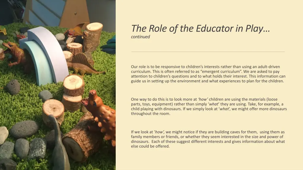 the role of the educator in play continued