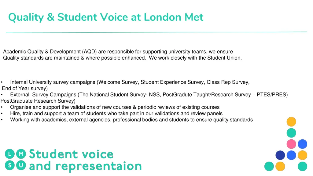 quality student voice at london met