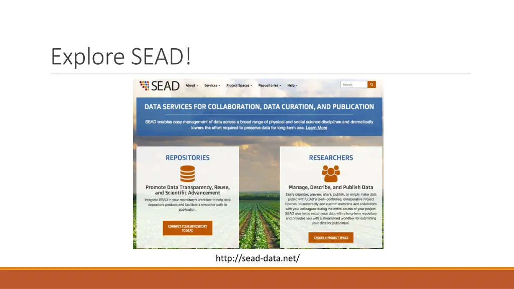 explore sead