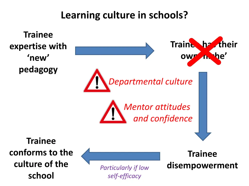 learning culture in schools