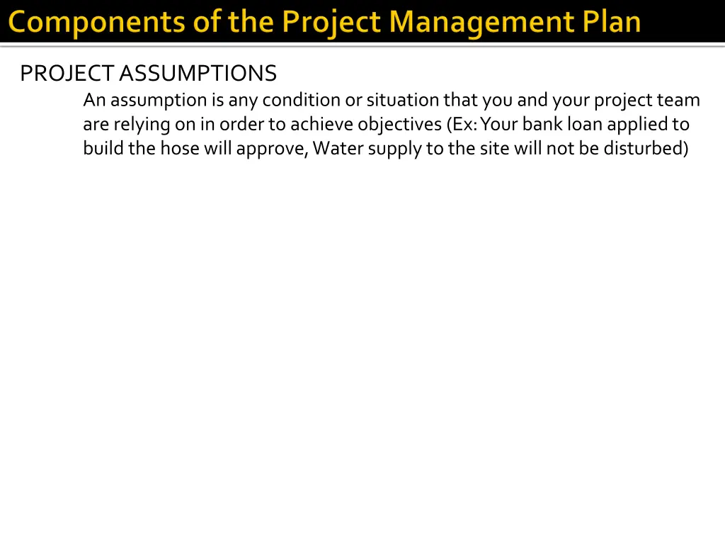 project assumptions an assumption