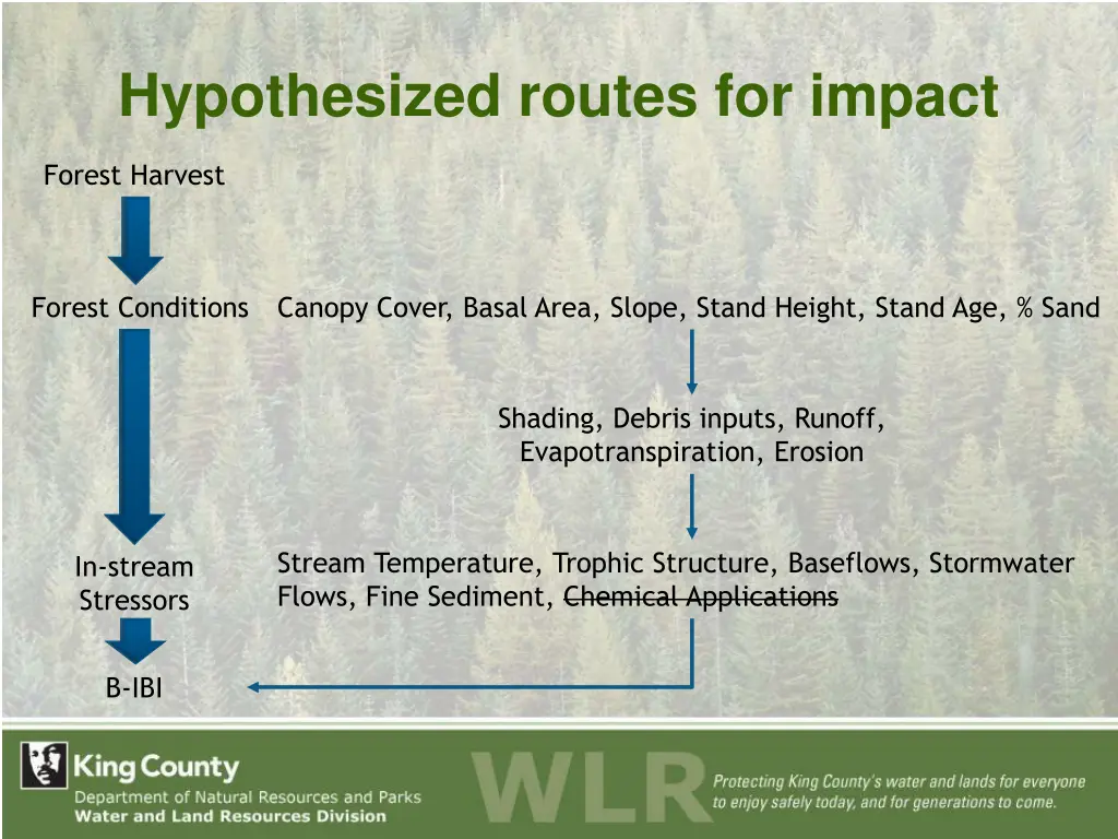 hypothesized routes for impact