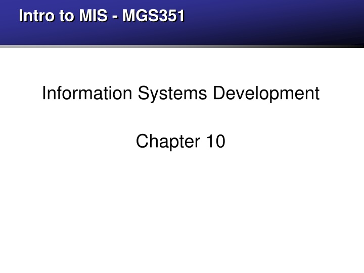 intro to mis mgs351