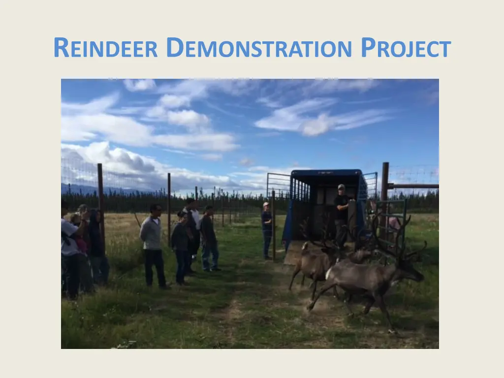 r eindeer d emonstration p roject 1