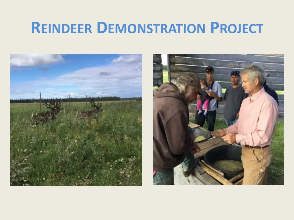 r eindeer d emonstration p roject 2