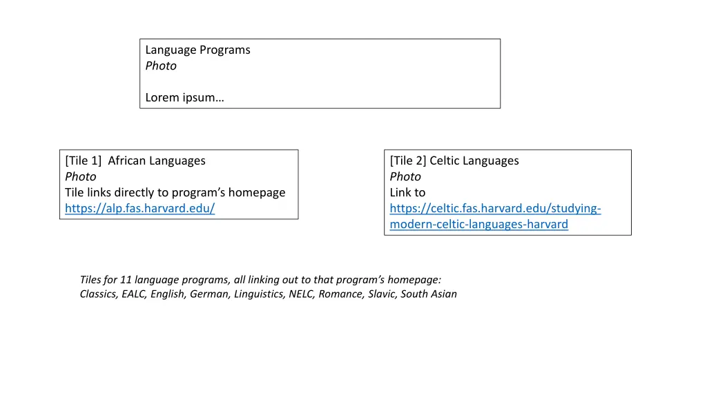 language programs photo