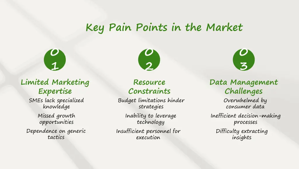 key pain points in the market