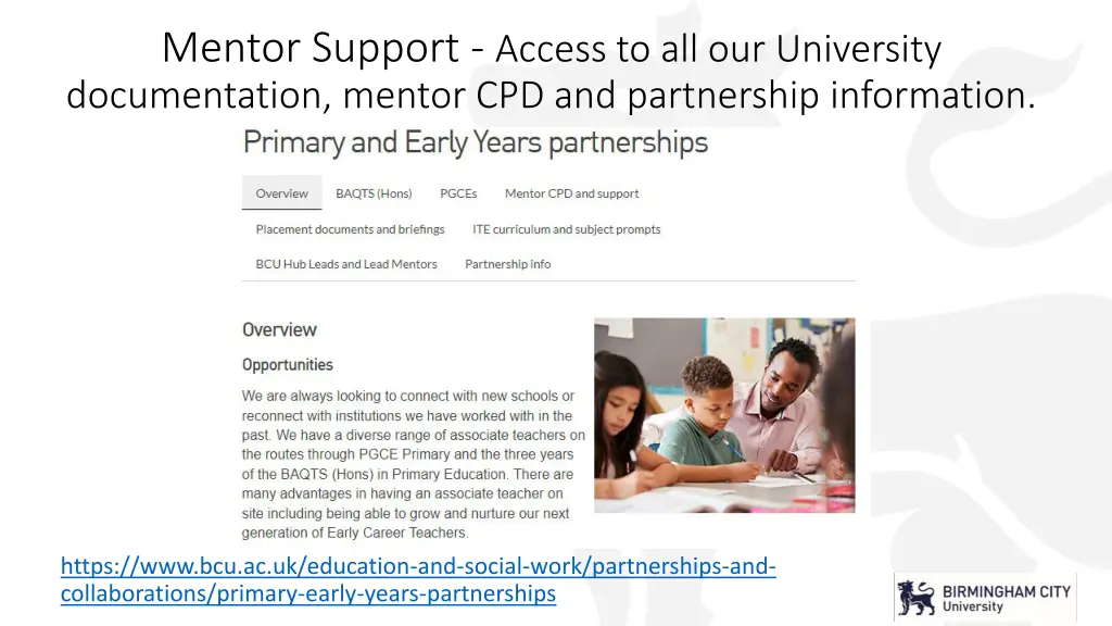 mentor support access to all our university