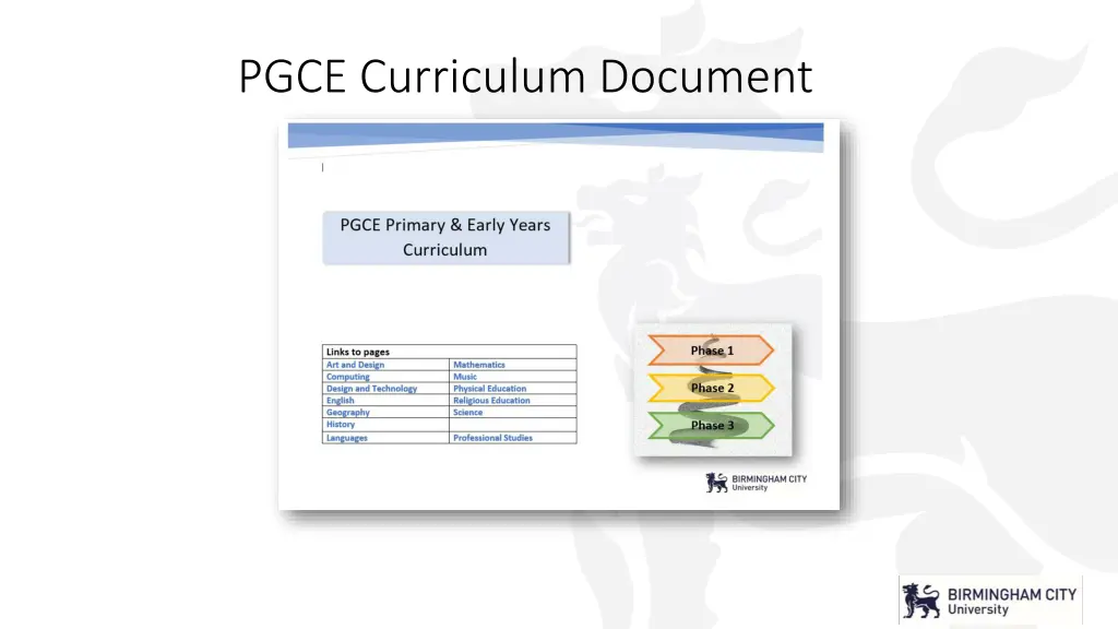 pgce curriculum document