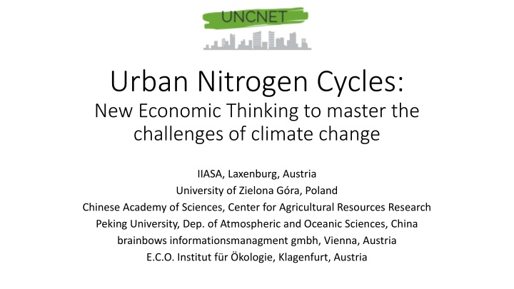 urban nitrogen cycles new economic thinking
