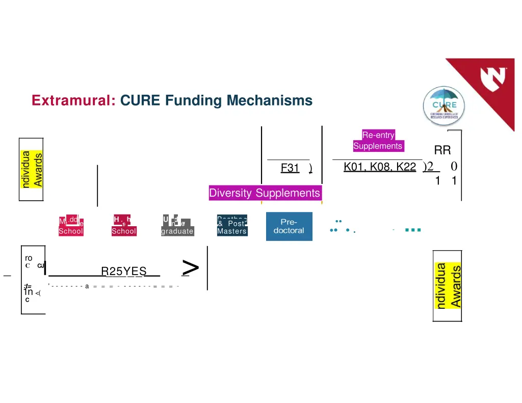 extramural cure funding mechanisms