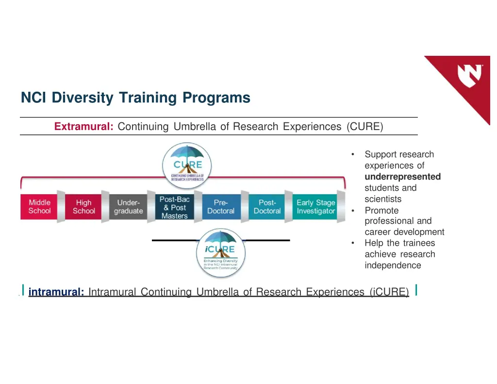 nci diversity training programs