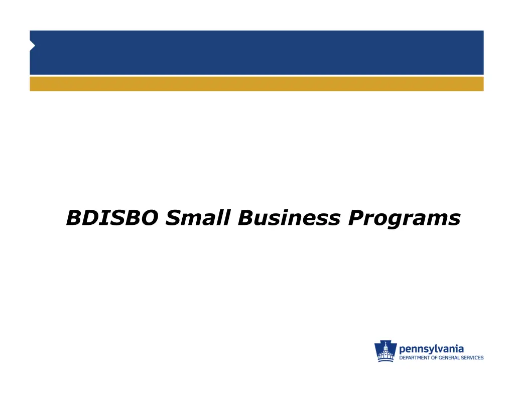 bdisbo small business programs
