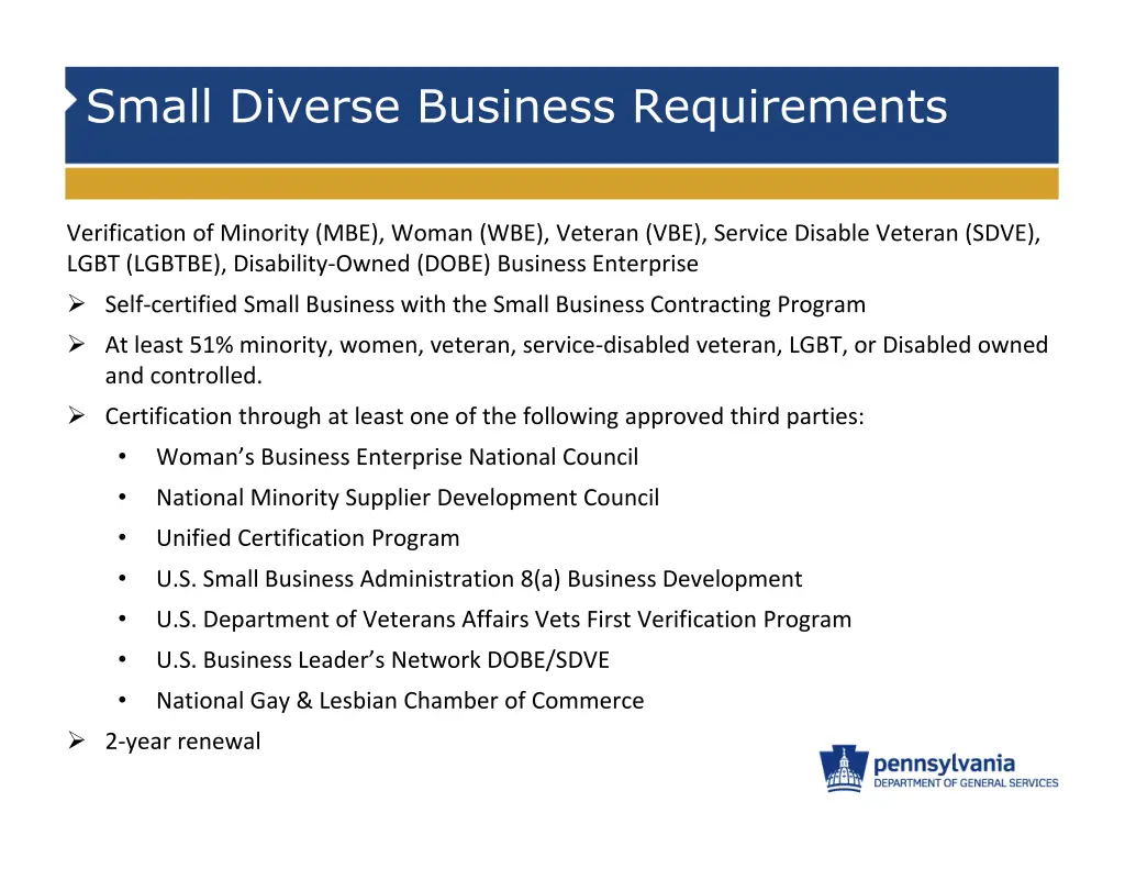 small diverse business requirements