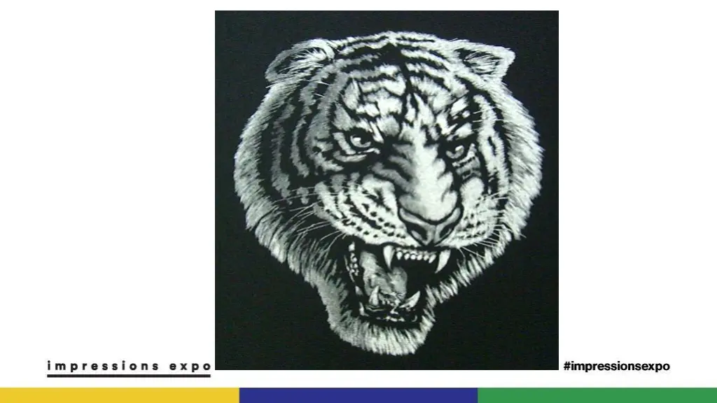 slide21