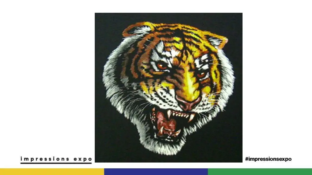 slide24