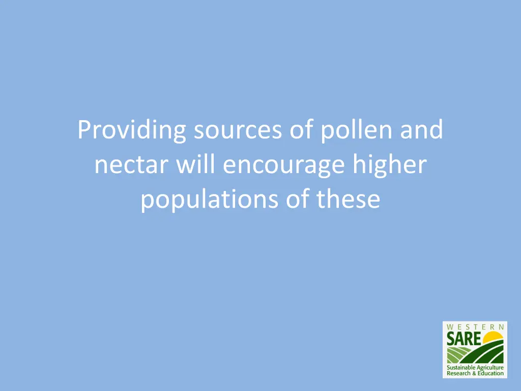 providing sources of pollen and nectar will