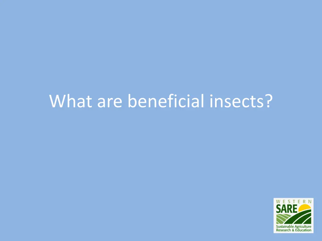what are beneficial insects