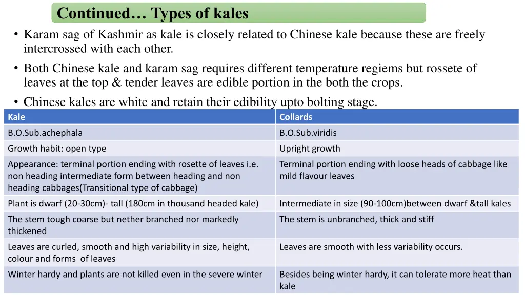 continued types of kales 1