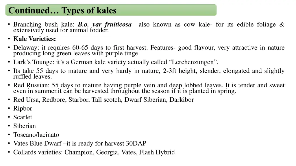 continued types of kales 2