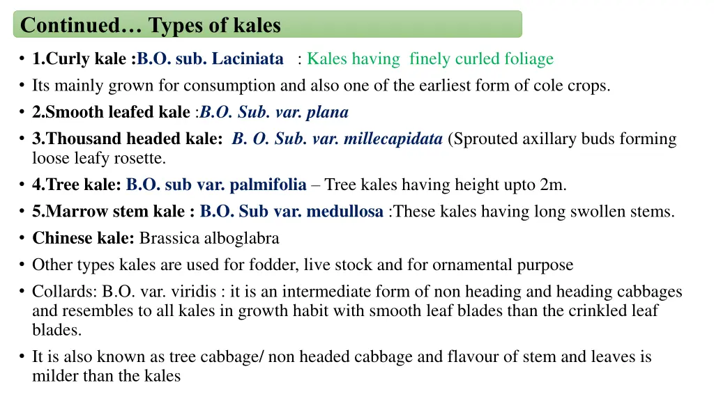 continued types of kales