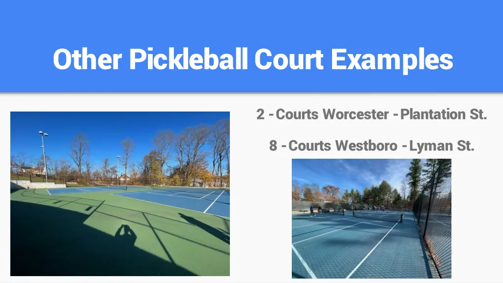 other pickleball court examples