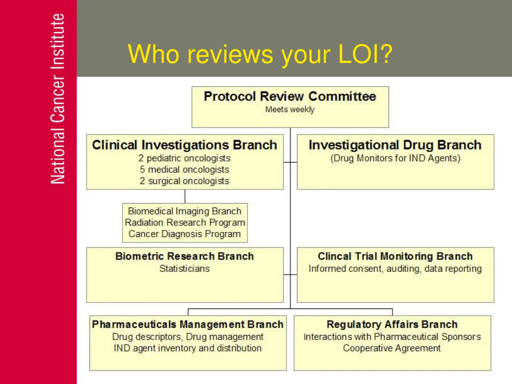 who reviews your loi