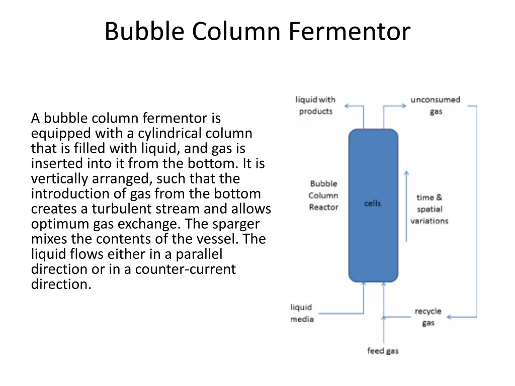 bubble column fermentor