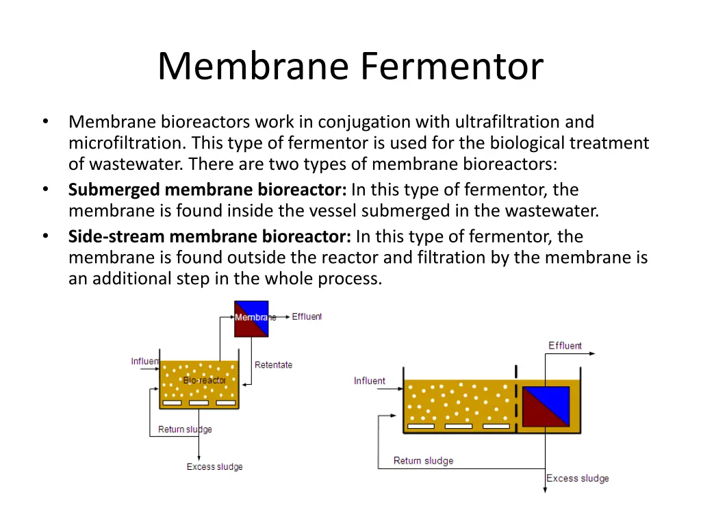 membrane fermentor