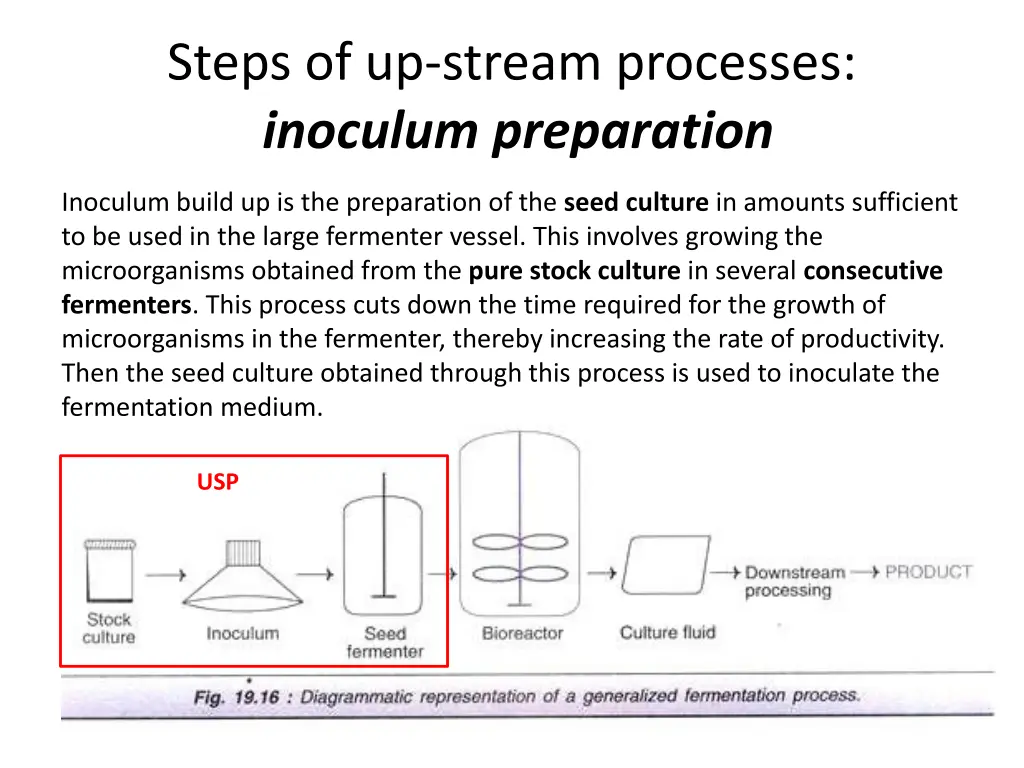 steps of up stream processes inoculum preparation