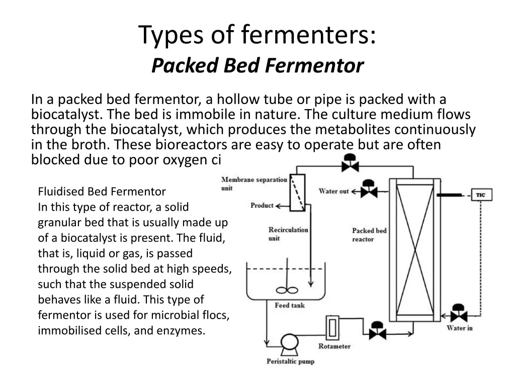 types of fermenters packed bed fermentor