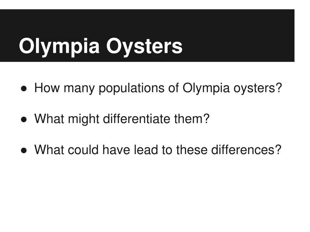 olympia oysters 1