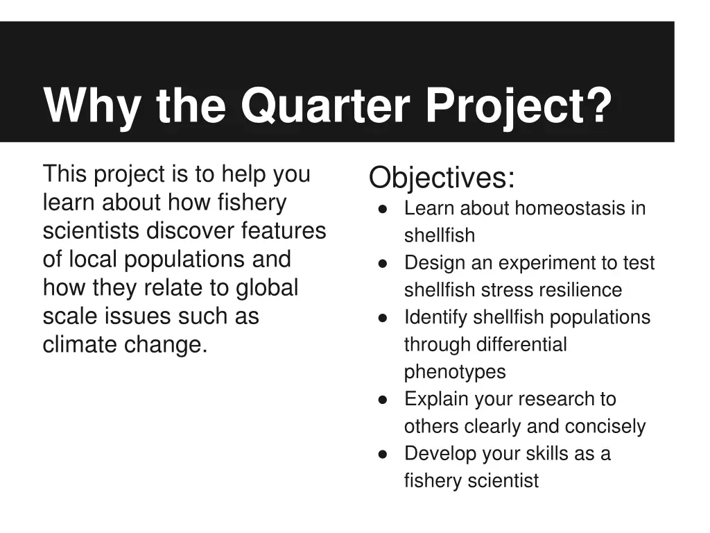 why the quarter project