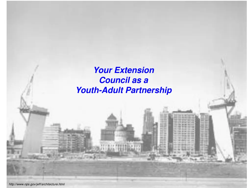 your extension council as a youth adult