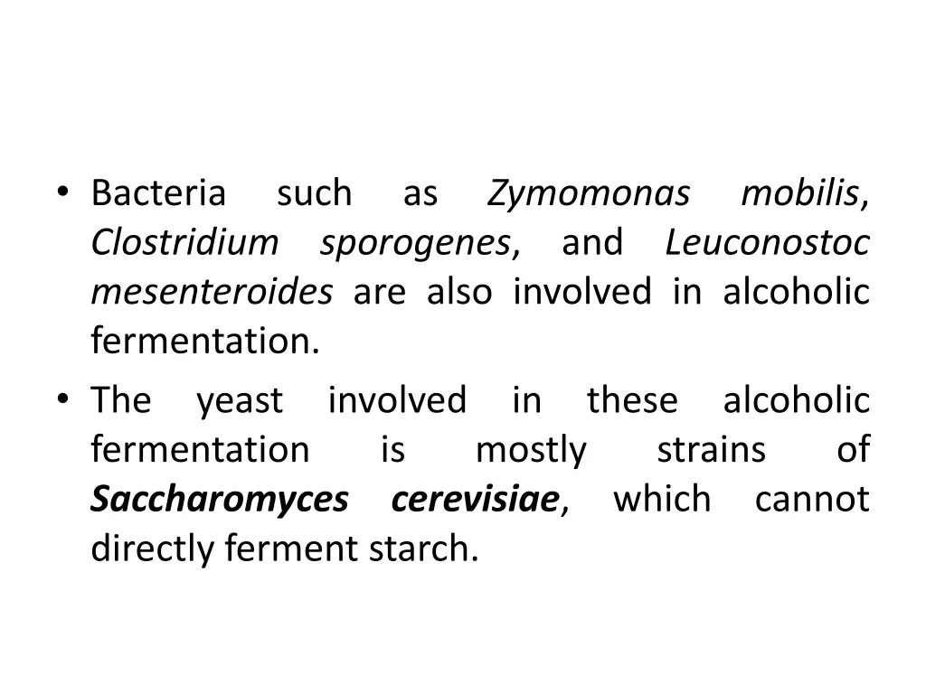 bacteria clostridium mesenteroides are also