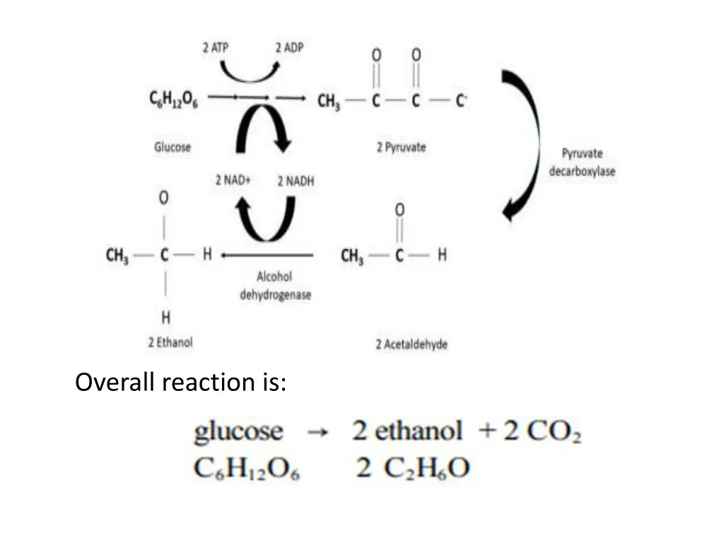 overall reaction is