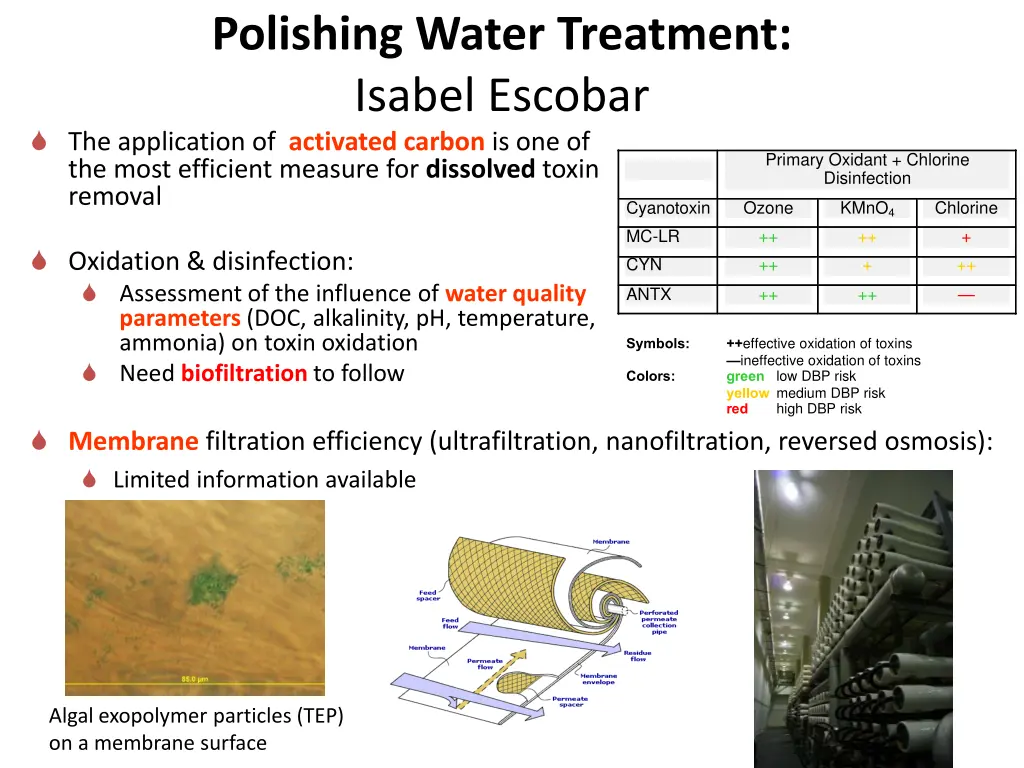 polishing water treatment isabel escobar