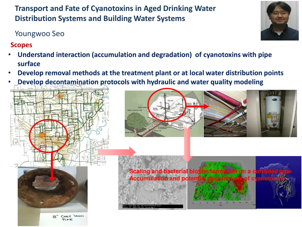 transport and fate of cyanotoxins in aged
