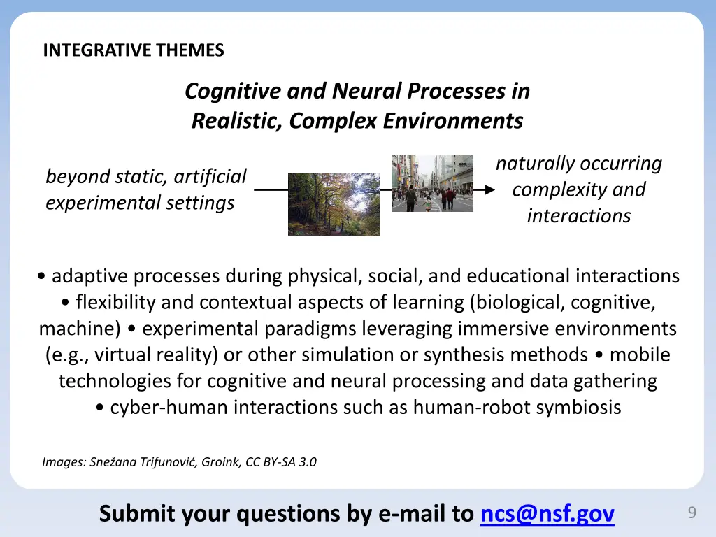 integrative themes 2