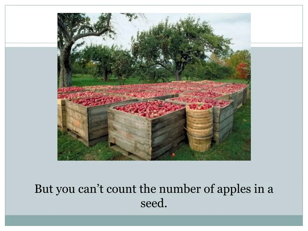 but you can t count the number of apples in a seed